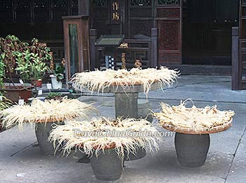 Ginseng, a medicinal herb