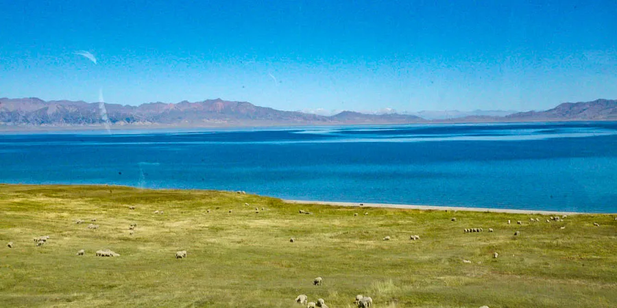Green Grasslands in May