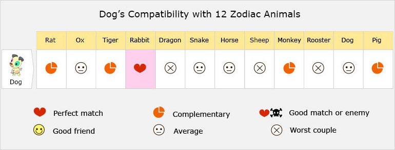 Compatibility Test – Are You and Your Partner a Perfect Match?