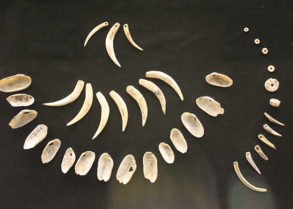 Animal Tooth and Shell Ornaments in Banpo Museum