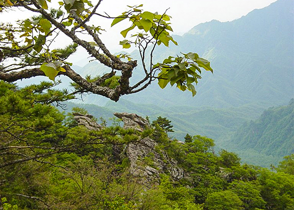 Baiwangshan Forest Park