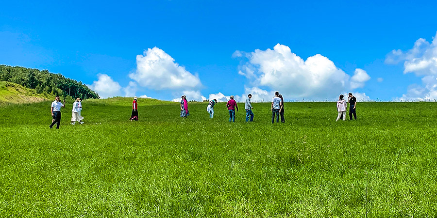 Bashang Grassland Summer