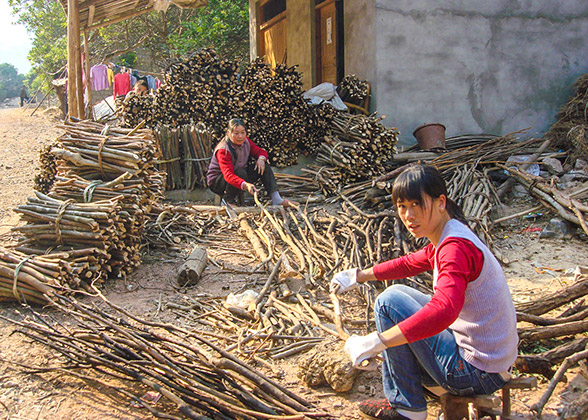 Shiguyan Villagers