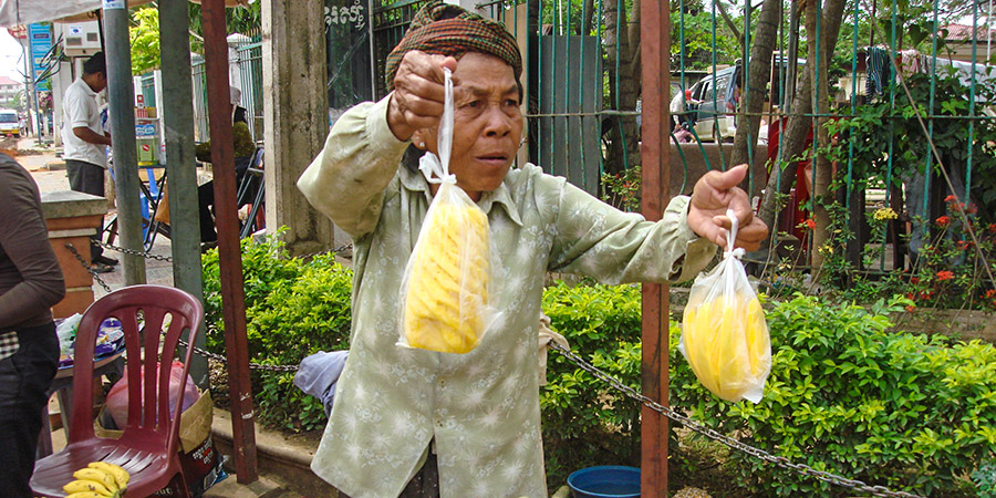 Buying Fruit at the Local Stand