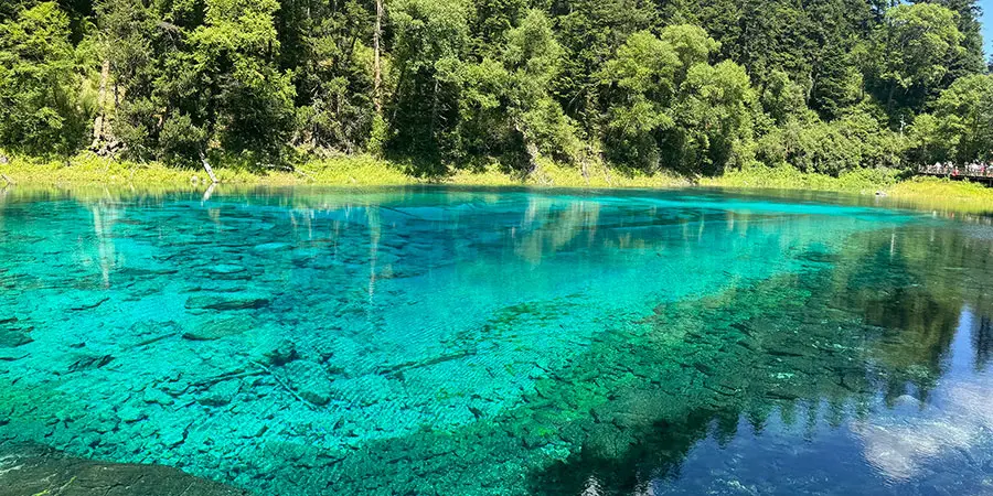 Colorful Pond