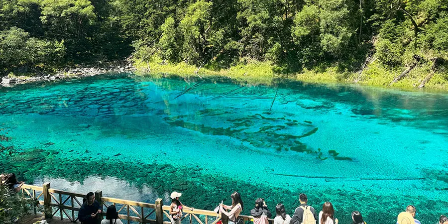 Colorful Pond of Jiuzhaigou Valley