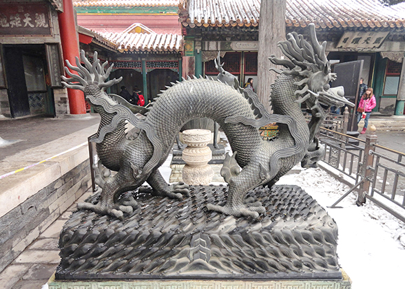 Dragon in Palace of Gathered Elegance