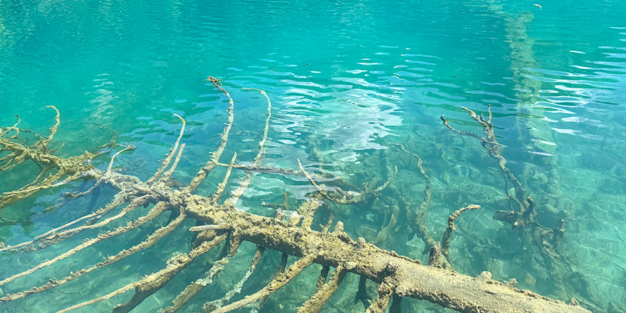 Five Flower Lake in Jiuzhaigou