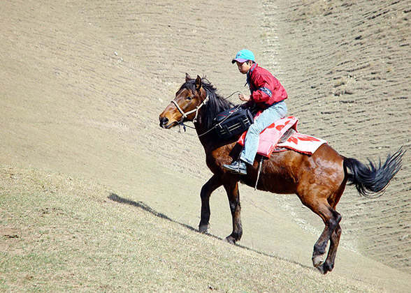 Horse Riding