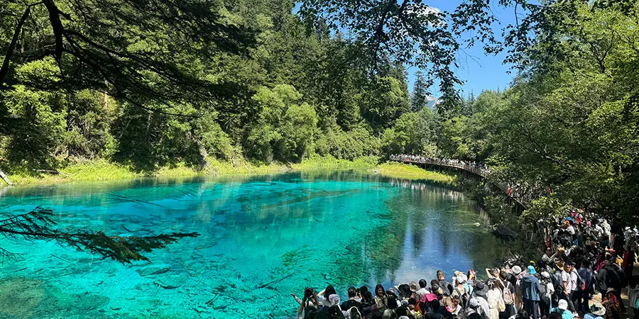 Colorful Pond in July