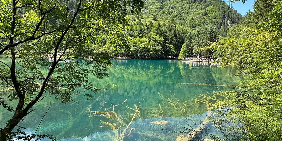 Blue Multicolored Lake