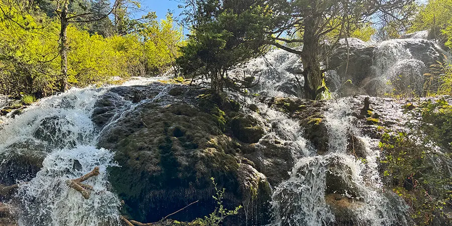 Pearl Shoal Waterfalls