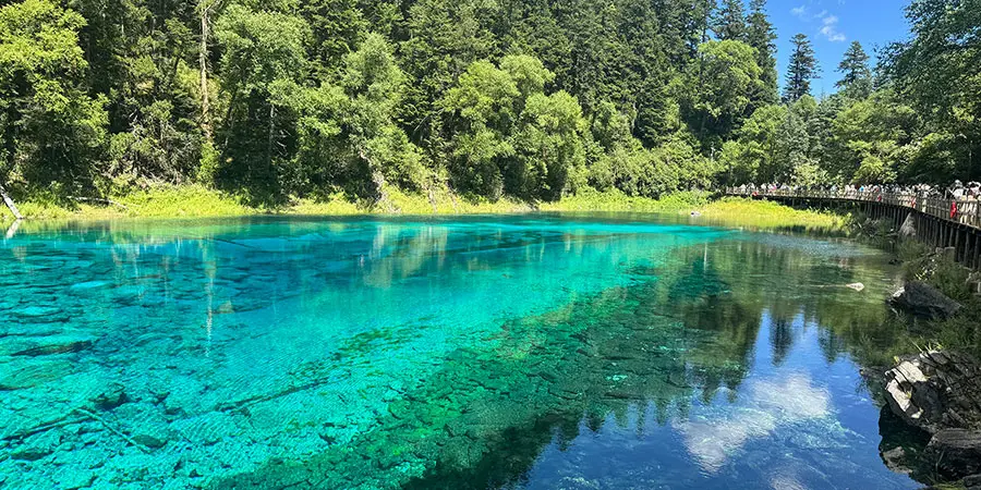 Colorful Pond in September