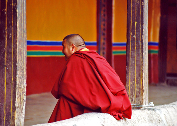 Monk at Mindroling Temple