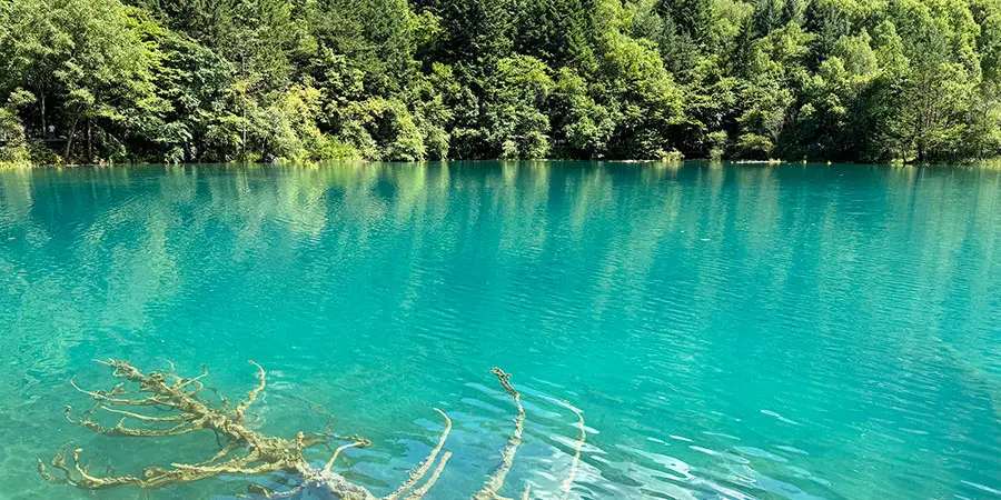 Multicolored Lake of Jiuzhaigou