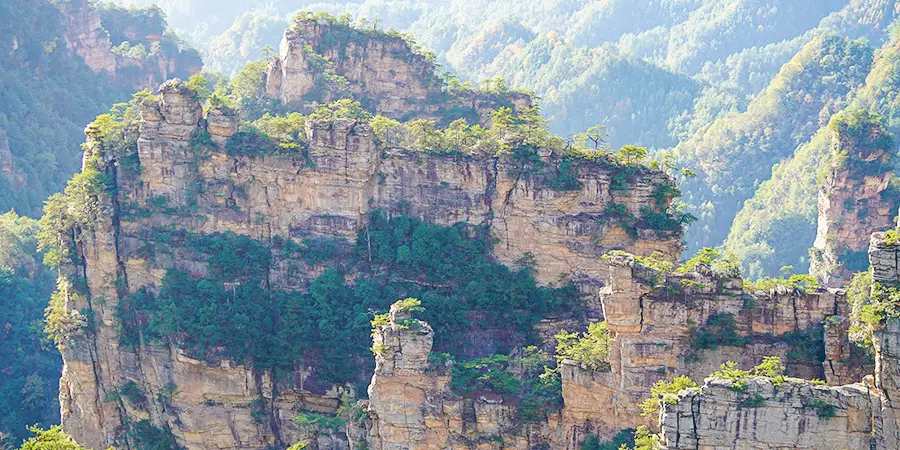 Rocky Peaks in Yangjiajie