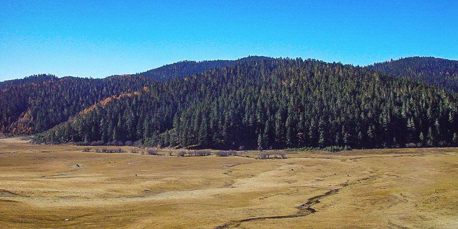 Autumn Scenery of Potatso National Park