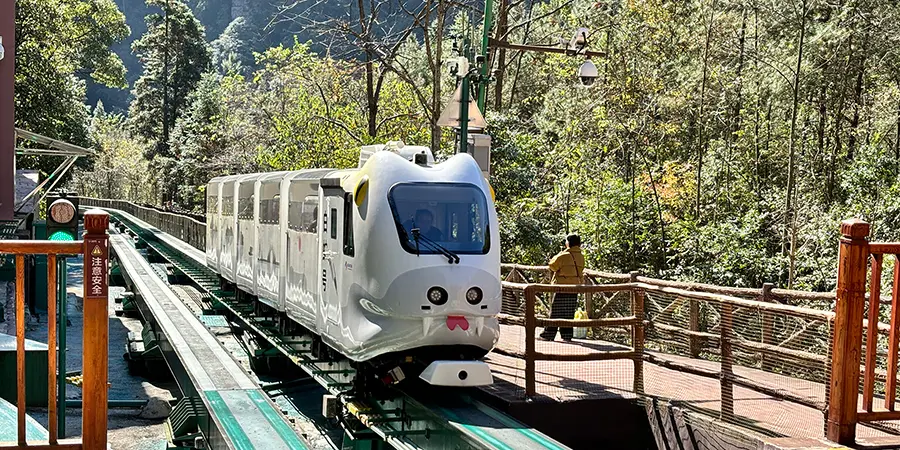 Sightseeing Train of Ten Miles Gallery