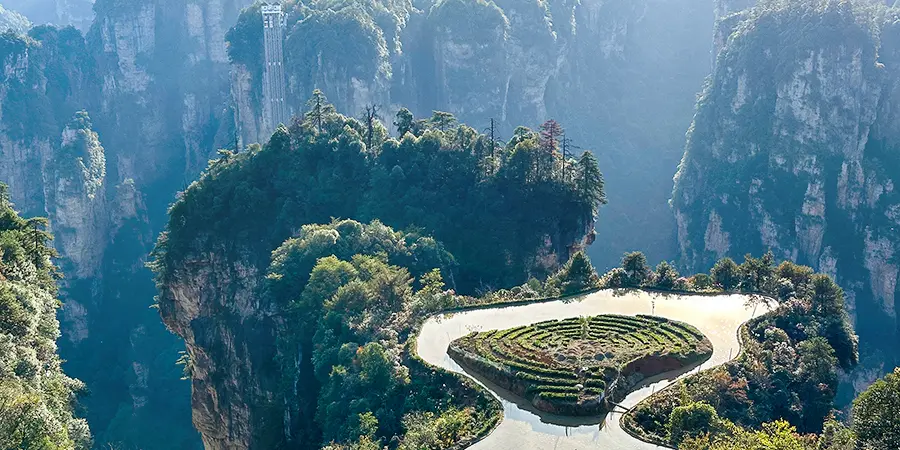 Sky Field of Tianzi Mountain