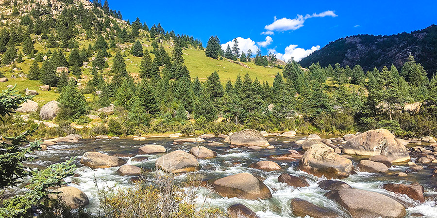 Songmingyan National Forest Park