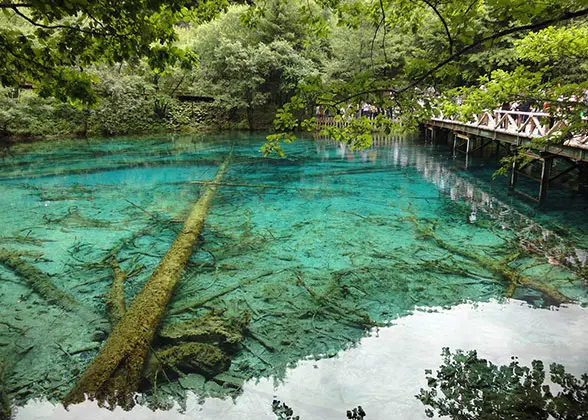 Sparkling Multicolored Lake