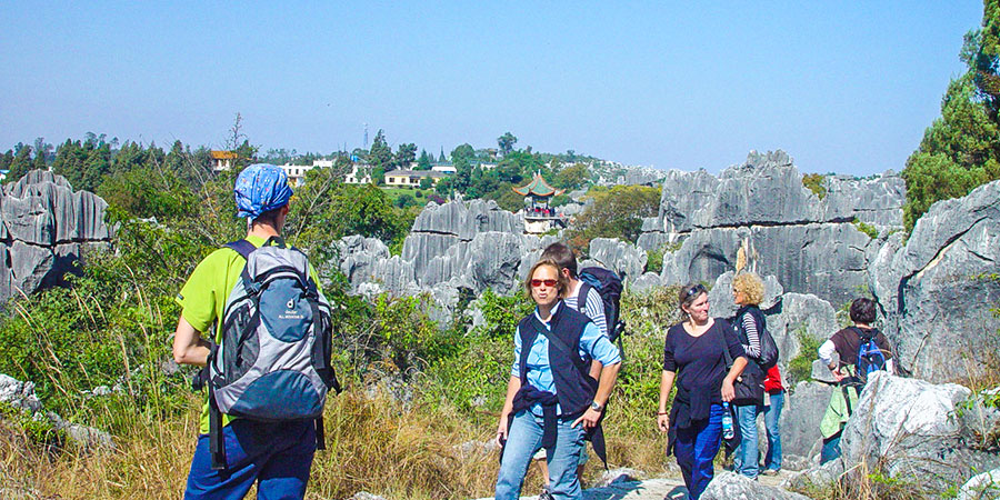 Stone Forest