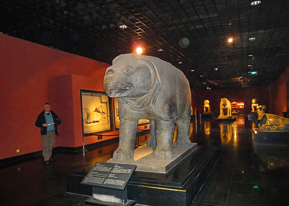 Stone Rhinoceros in Beilin Museum