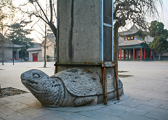 Stone Tortoise in Beilin Museum