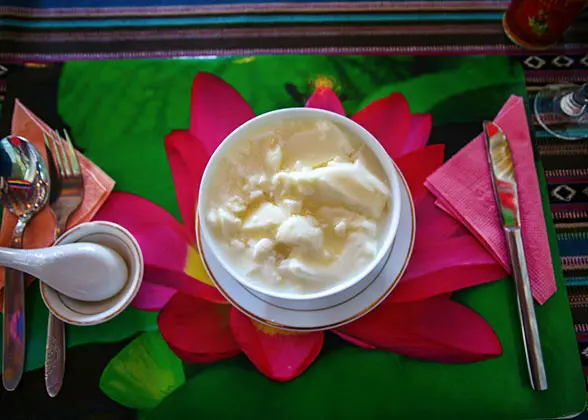 Tibetan Yoghurt