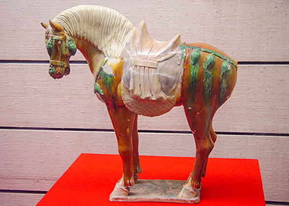 Tri-colored Horse