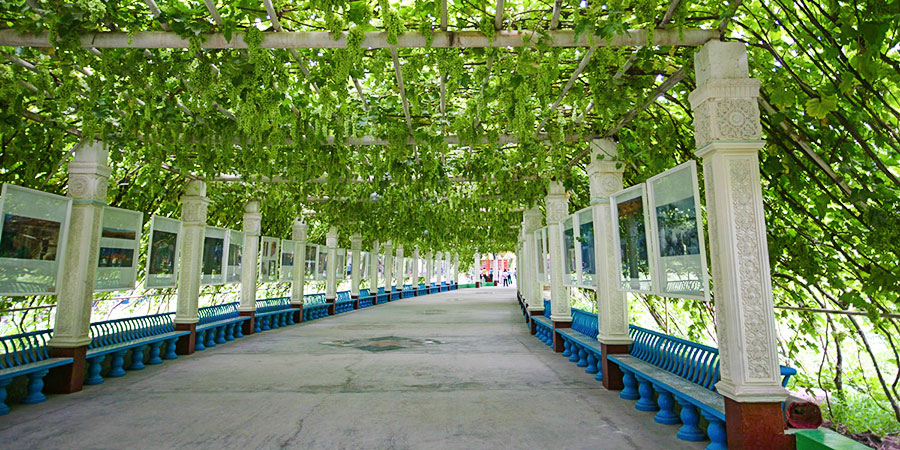 Turpan Grape Valley