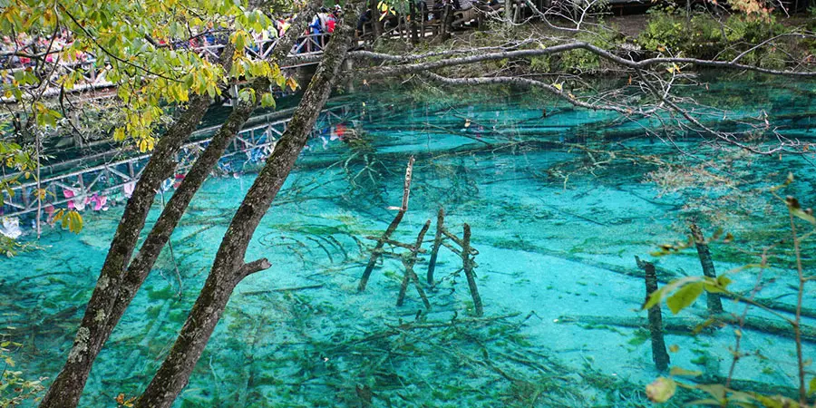 Multicolored Lake in Winter