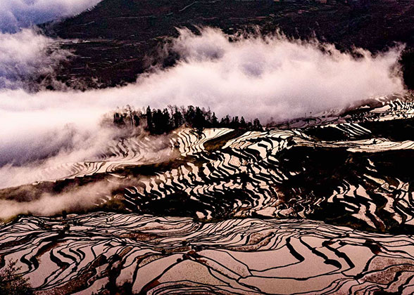 Yuanyang Rice Terraces 