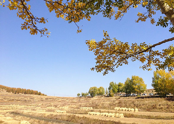 Charming Grassland in Zhangjiakou