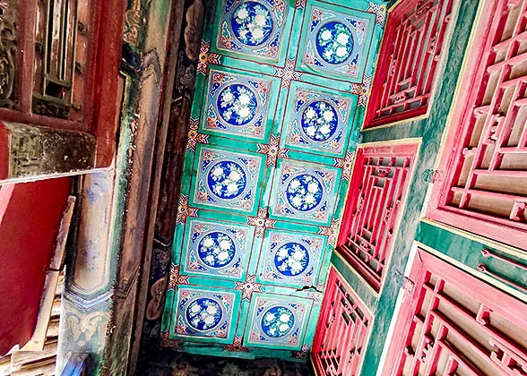 Floral Patterns of the Ceiling