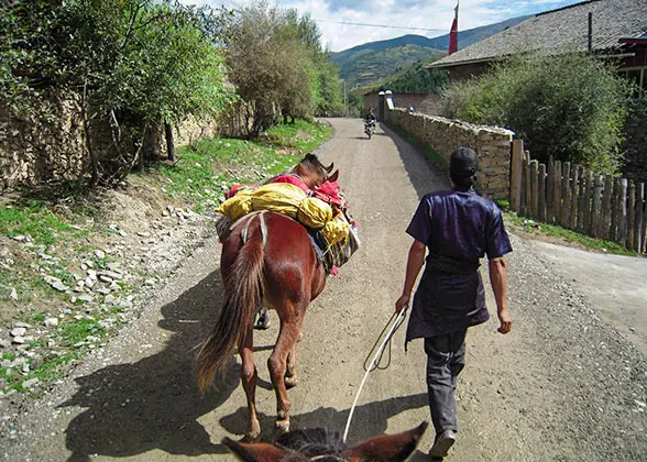 Horse Trekking Tour in Sonpan