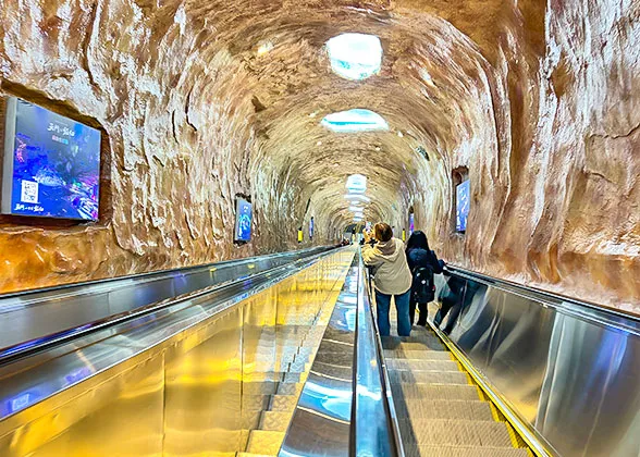 Transmountain Escalator