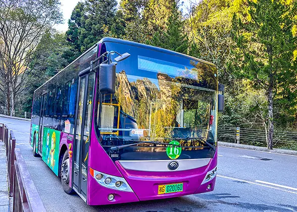 Zhangjiajie Forest Park Eco-bus