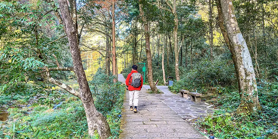 Hiking Trail in Golden Whip Stream