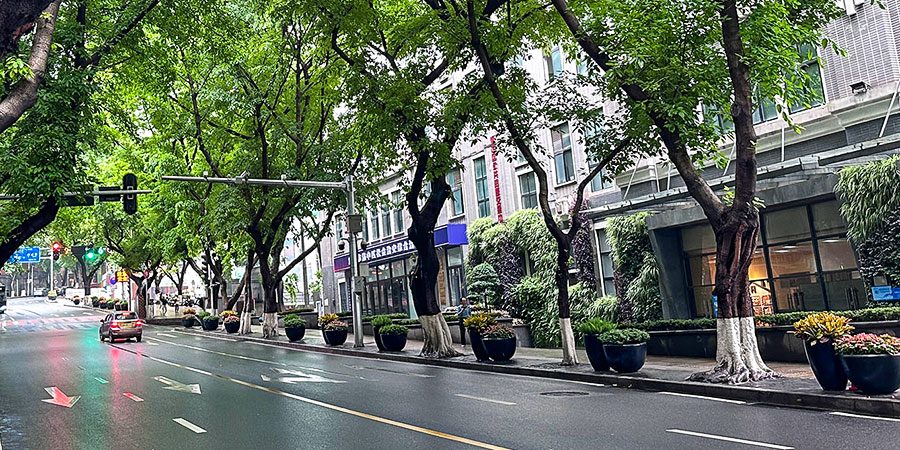 Street Scene of Leshan in April Street Scene of Leshan in April