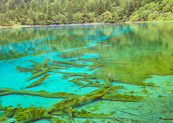 Jiuzhaigou National Park