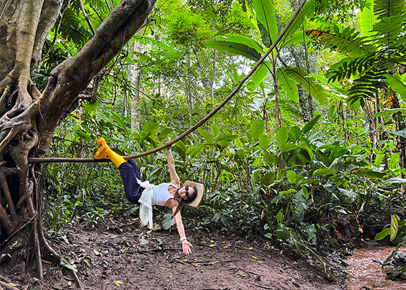 Rainforest Hiking Tour Rainforest Hiking Tour