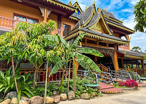 Warm Climate in February in Xishuangbanna Warm Climate in February in Xishuangbanna
